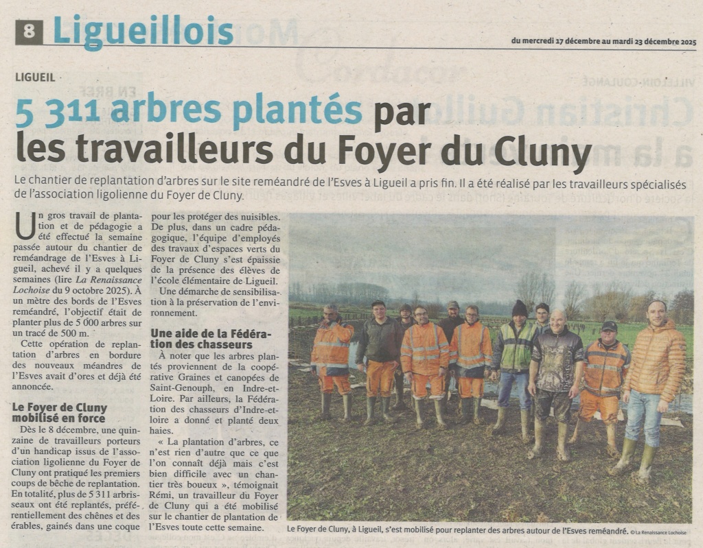 2025_Article RL_Plantation arbres